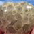 Daphne Thompson's profile image