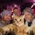 Dale Moureau's profile image