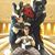 Matthew Helmick's profile image