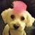 Buddy Lee Williams's profile image
