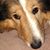 Deb Wiggin's profile image