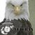 Johnny White's profile image