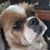 Warren J Vaughn's profile image
