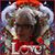 Linda Wilson's profile image