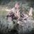 Hunter Pierson's profile image
