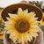 Lina Escalante's profile image