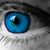 Deb Hooker's profile image