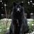 Lance Baker's profile image