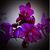 Kay Jackson's profile image
