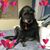 Brenda Newman's profile image