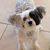 Lisa-Janine Wilson Vopnford McKinney's profile image