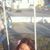 Manel Hammami's profile image
