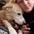 Samantha Wasko's profile image