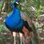 Maggie Kwan's profile image