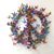 Elaine Pinto Ancher's profile image