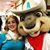 Robyn J. Nussbaum's profile image