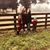 Jennifer Pece Patterson's profile image
