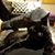 Timothy Tudor's profile image