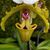 Ingrid Kopp Magill's profile image
