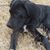 DeVina R. S. Reaves's profile image