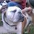 Karen Meter's profile image