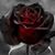 Lupita Dobbins's profile image