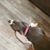 Kimberly Johnson Collins's profile image