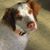 Debbie Mayne Depriest's profile image