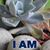 Joyce Aucoin Dousay's profile image