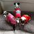 Gypsy Moon McNeil's profile image