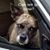 Tracey Bodrey's profile image