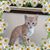 Brenda Campbell's profile image