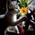 Rosa Garcia's profile image