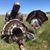 Patrick Clarke's profile image