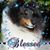 Linda M. Holland's profile image