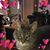 Susan Harris Sherman's profile image