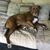 Holly Audette's profile image