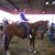 Donna Loera's profile image