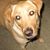 Char Choruby-Cadotte's profile image
