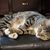 Linda Deering Walmsley's profile image