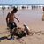 Ruben Villamar's profile image