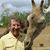 Roger Dooley's profile image