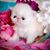 Lynn Caisse's profile image