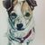 Linda Lister Follett's profile image