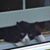 Moose Lewis's profile image