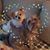 Peggy Buettner's profile image