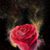 Lois-Sam O. Knox's profile image