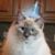 Linda Barb Jagger's profile image