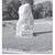 Sharon Mclaughlin's profile image