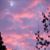 Kathy Nortman's profile image
